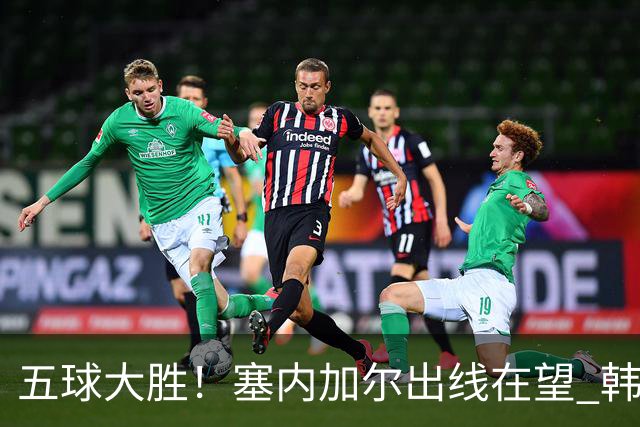 五球大胜！塞内加尔出线在望 韩国晋级仅剩理论希望