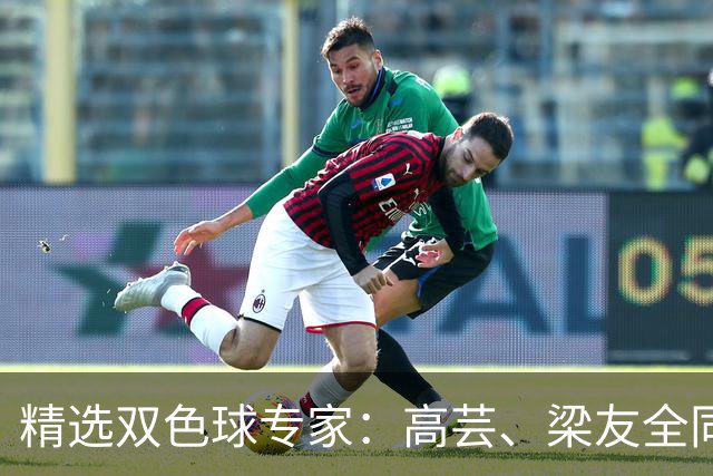 精选双色球专家：高芸、梁友全同中二等279万！