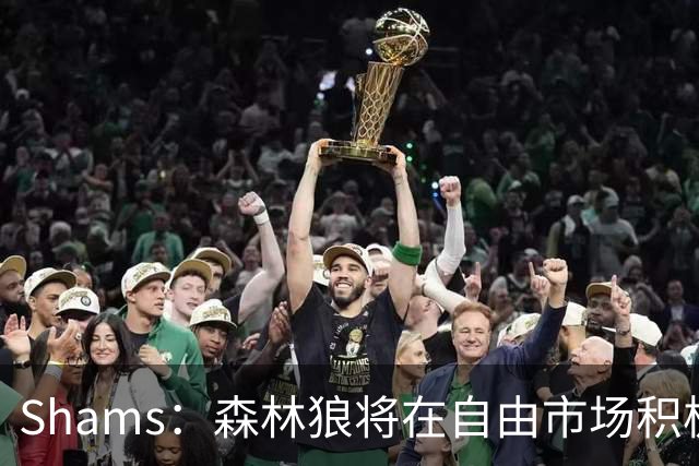Shams：森林狼将在自由市场积极补强4号位 但他们只能提供底薪